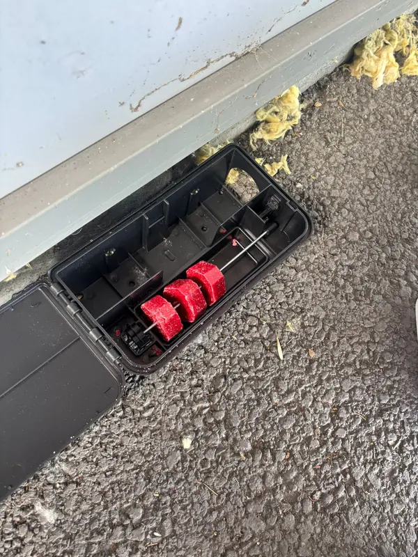 Poste de dératisation ouvert et positionné au pied d'une façade, avec appât protégé à l'intérieur